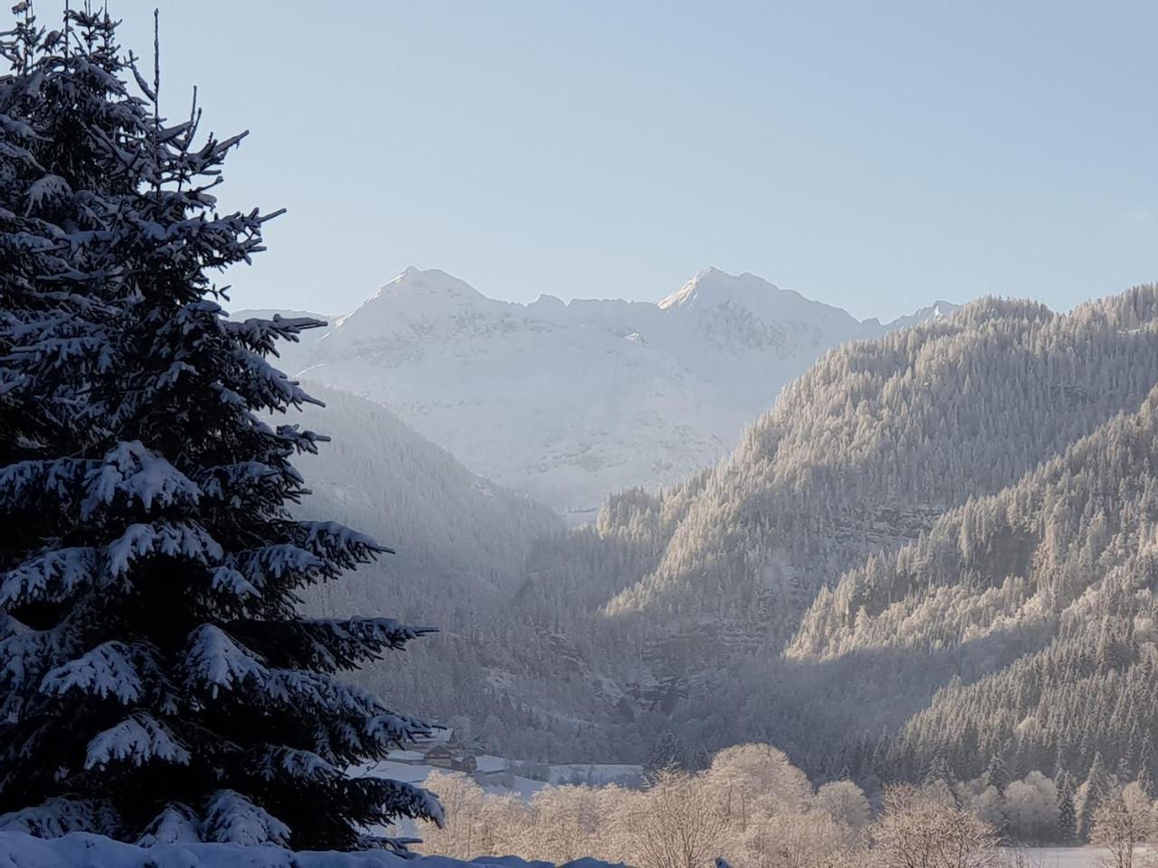 Ferienhaus Poettler Untertauern Esterno foto