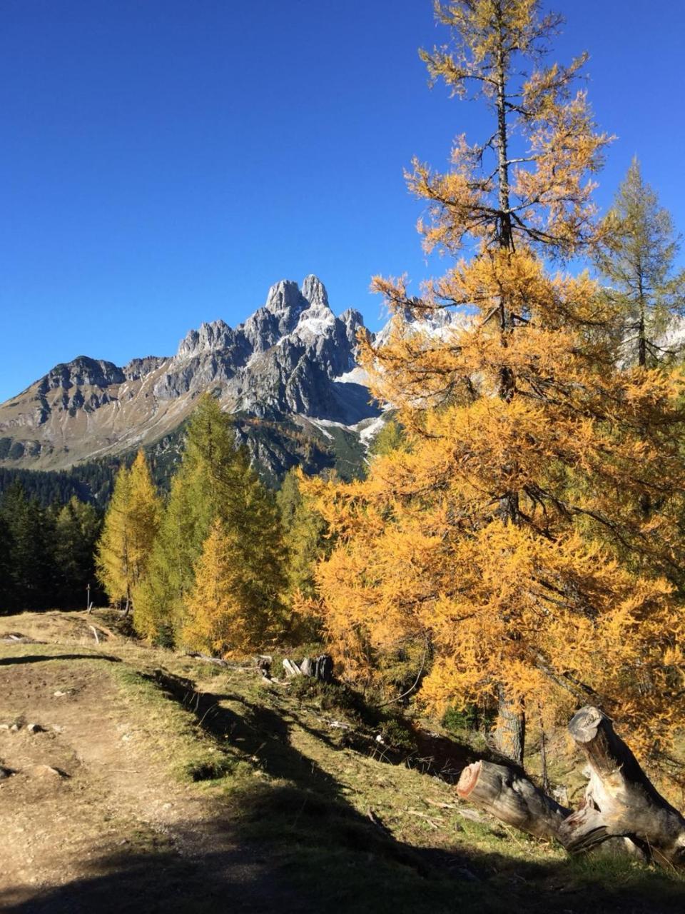 Ferienhaus Poettler Untertauern Esterno foto
