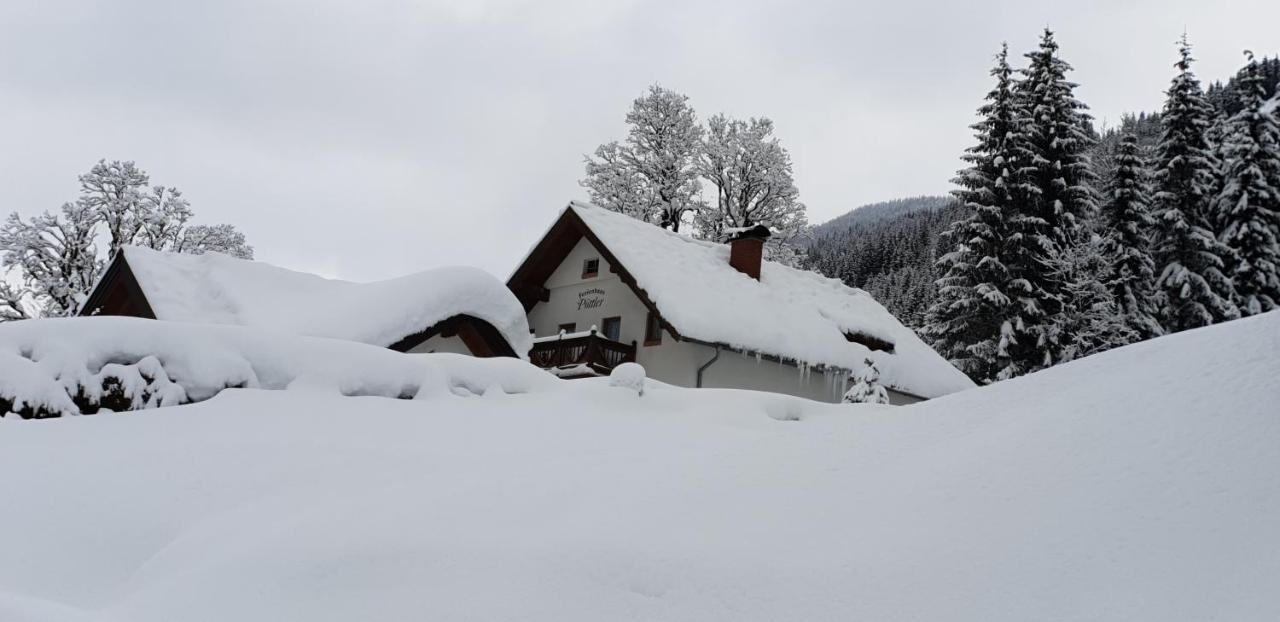 Ferienhaus Poettler Untertauern Esterno foto